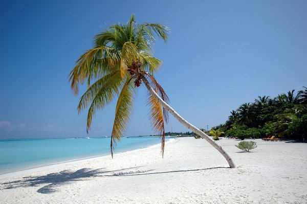 Comment organiser une expédition de trekking dans le parc national de Torres del Paine, Chili?